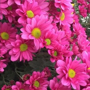 Meet your Posher, Serghei